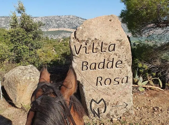 Badde Rosa