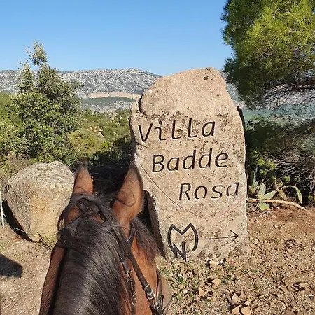 Badde Rosa